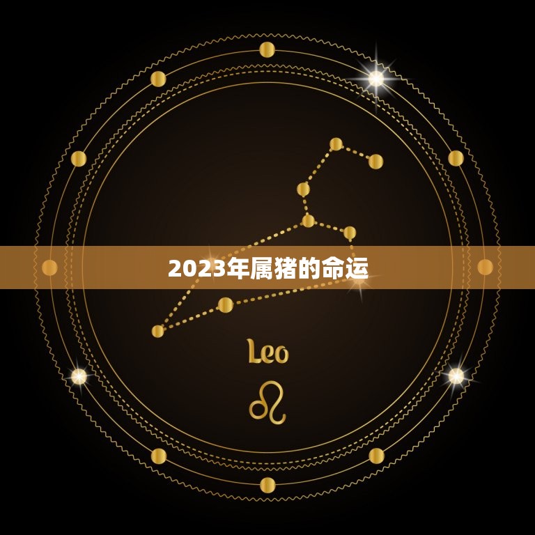 2023年属猪的命运