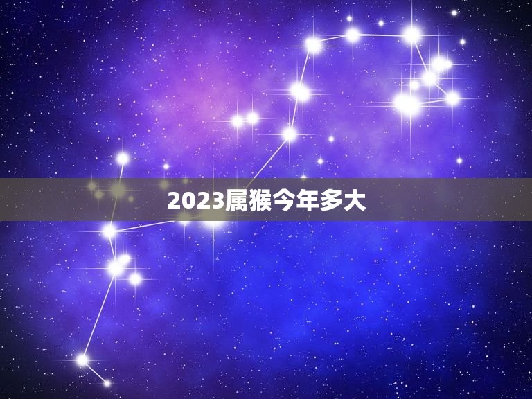 2023属猴今年多大