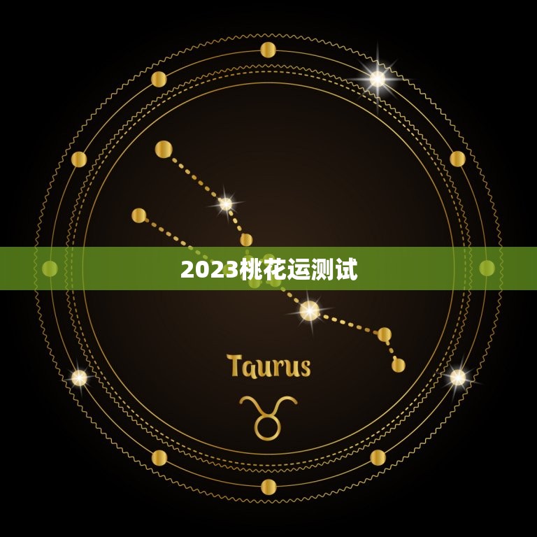 2023桃花运测试