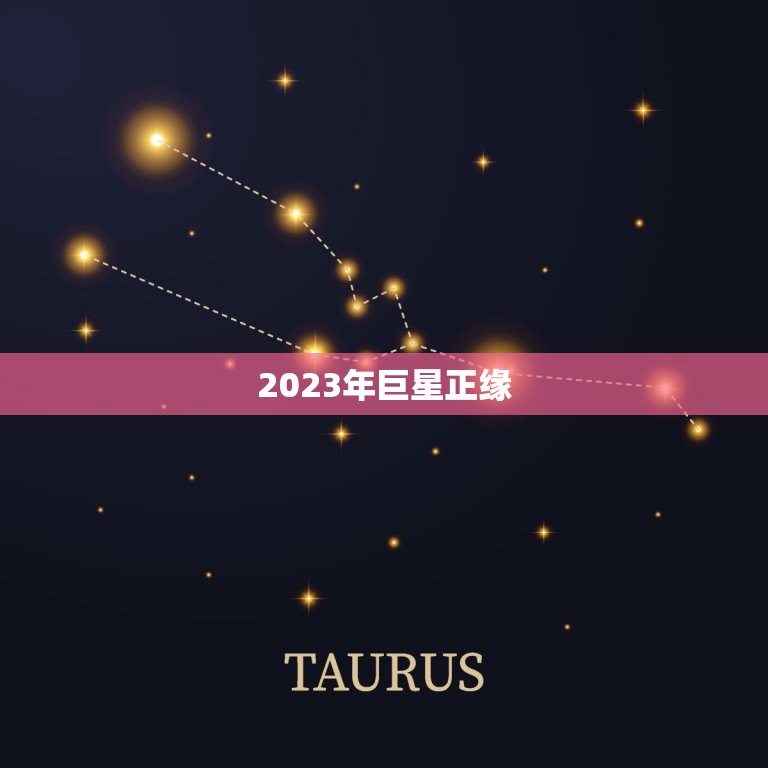 2023年巨星正缘