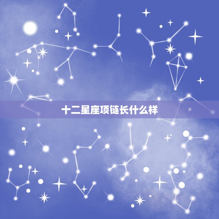 十二星座项链长什么样