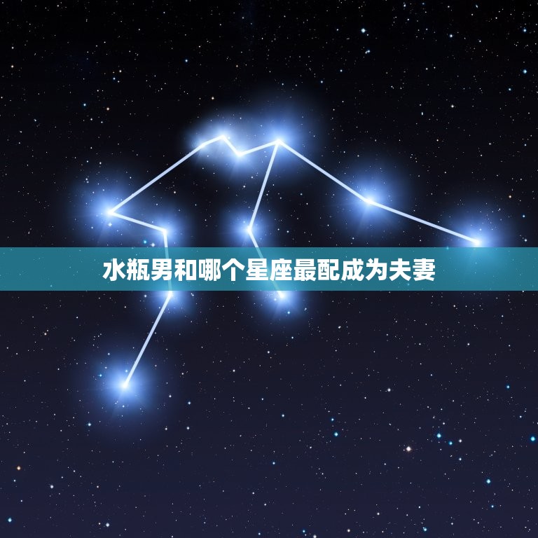 水瓶男和哪个星座最配成为夫妻