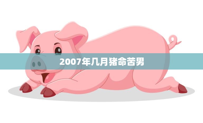 2007年几月猪命苦男(命运多舛的一年)