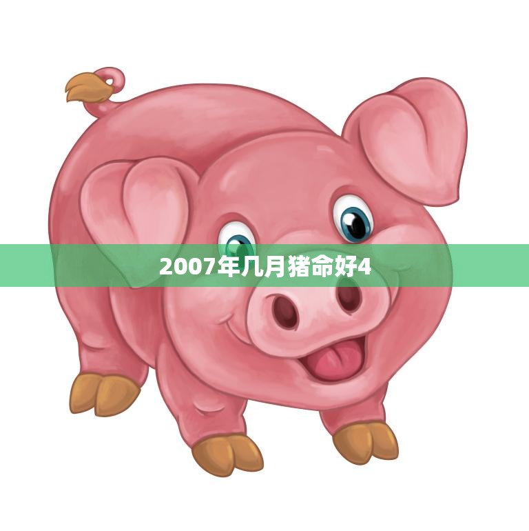 2007年几月猪命好4(猪年财运大揭秘)