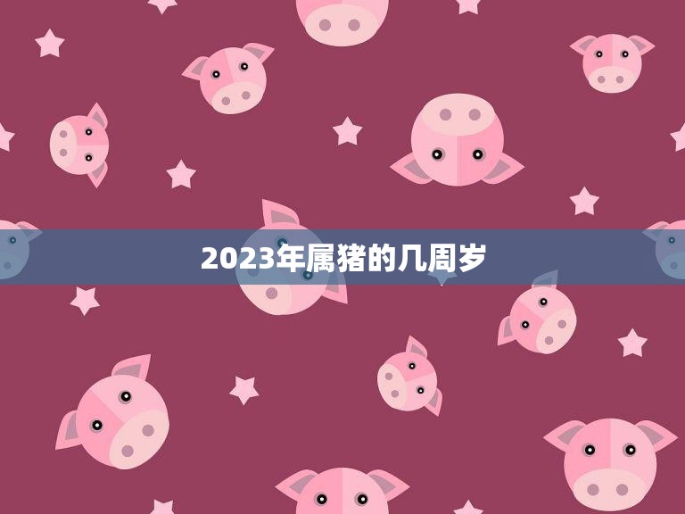 2023年属猪的几周岁(猪年宝宝们的成长秘密)