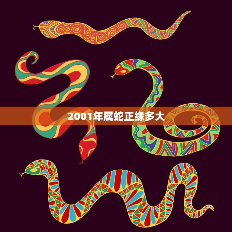 2001年属蛇正缘多大(蛇年桃花运如何)  第3张