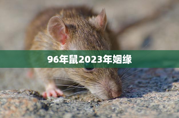 96年鼠2023年姻缘(缘定三生等待真爱的到来)