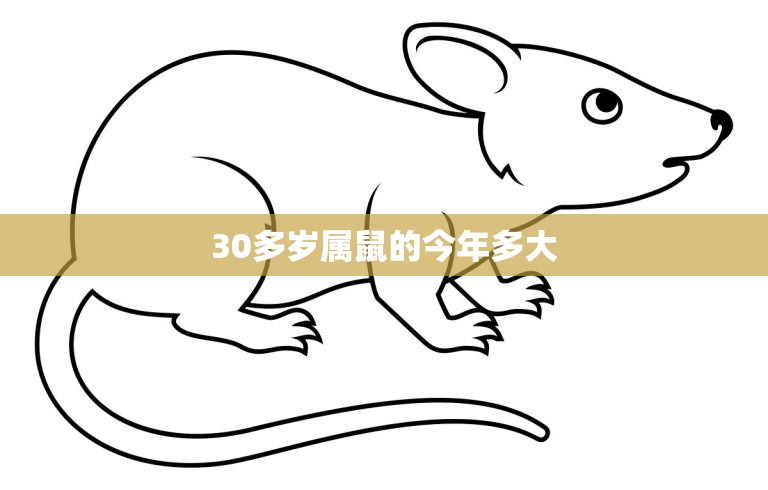 30多岁属鼠的今年多大(如何算出你的属相年龄)