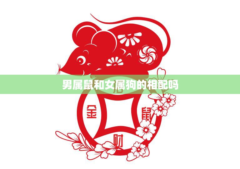 男属鼠和女属狗的相配吗(星座配对分析)  第3张