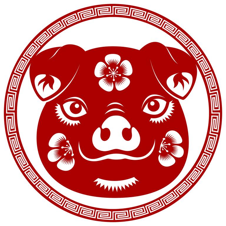 生肖猪的上上等婚配女7(完美匹配的爱情奇迹)  第1张
