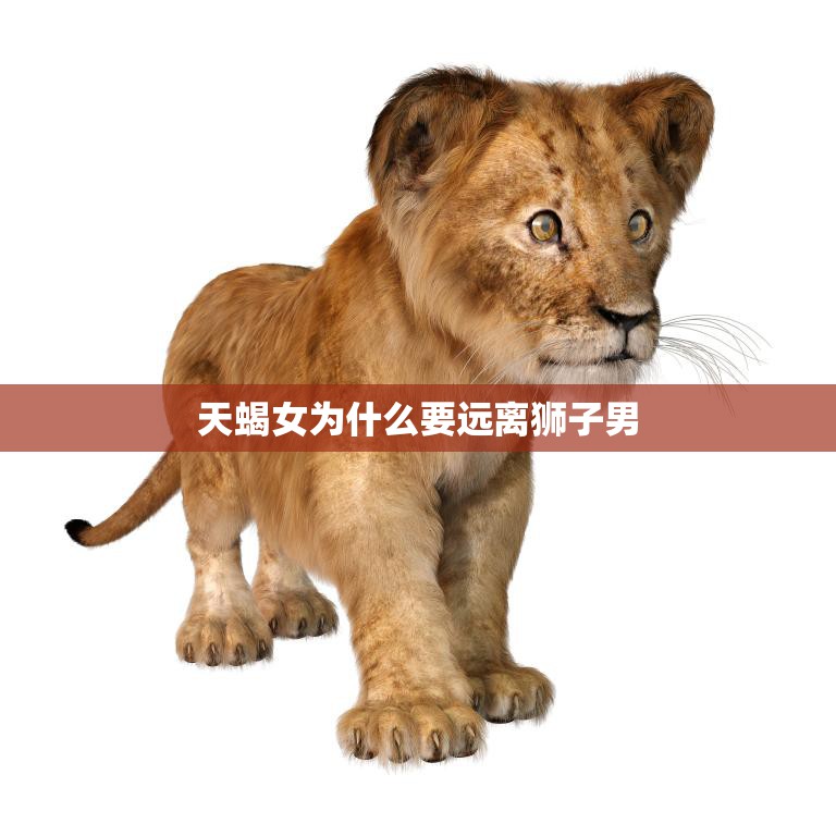 天蝎女为什么要远离狮子男(星座配对的致命缺陷)  第3张