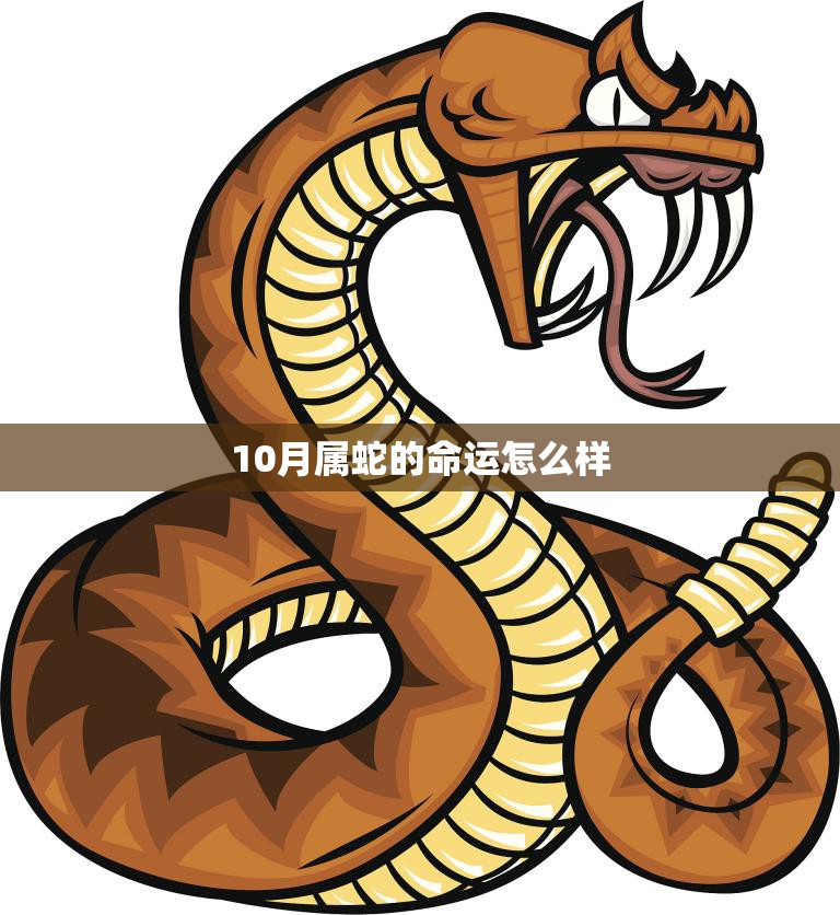 10月属蛇的命运怎么样(解析财运、感情、健康全方位预测)  第3张