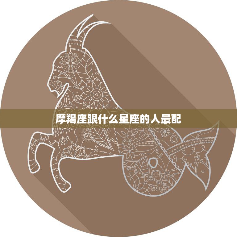 摩羯座跟什么星座的人最配(完美星座配对指南)