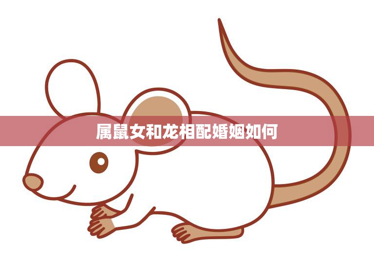 属鼠女和龙相配婚姻如何(幸福美满的秘诀)  第3张
