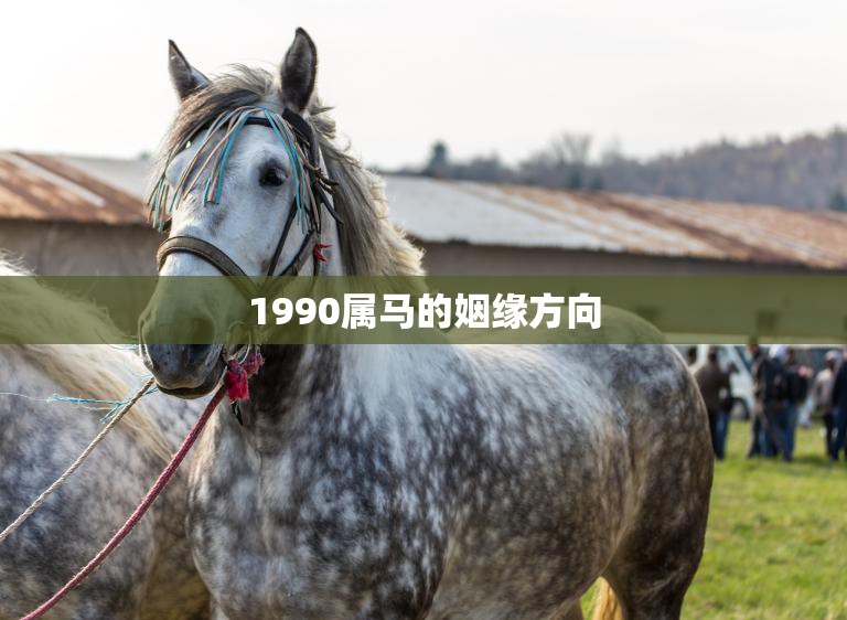 1990属马的姻缘方向(如何选择最佳的姻缘方向)  第3张