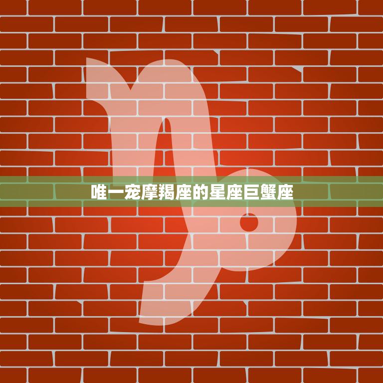 唯一宠摩羯座的星座巨蟹座(摩羯座为何如此钟爱巨蟹座)  第3张
