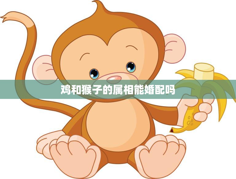 鸡和猴子的属相能婚配吗(解析属相相克还是相生)  第3张