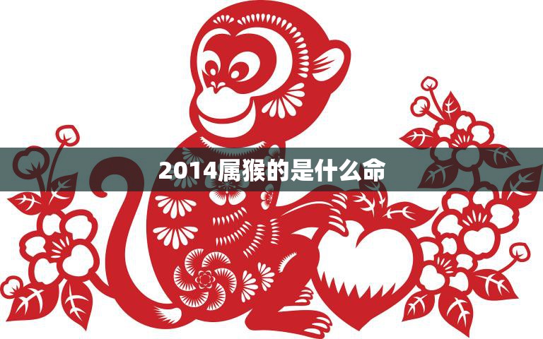 2014属猴的是什么命(猴年运势解析)