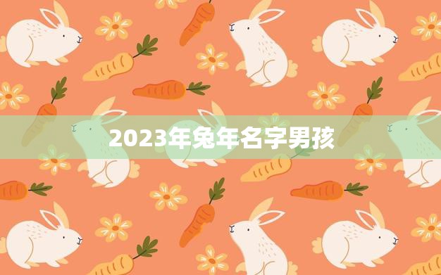 2023年兔年名字男孩(如何选择最佳的兔年宝宝名字)