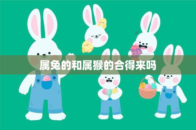 属兔的和属猴的合得来吗(探究星座是否影响人际关系)  第3张