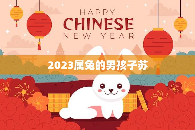 2023属兔的男孩子苏(兔年出生的他注定有着特殊的命运)  第3张