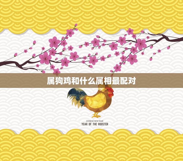 属狗鸡和什么属相最配对(完美配对指南)  第3张