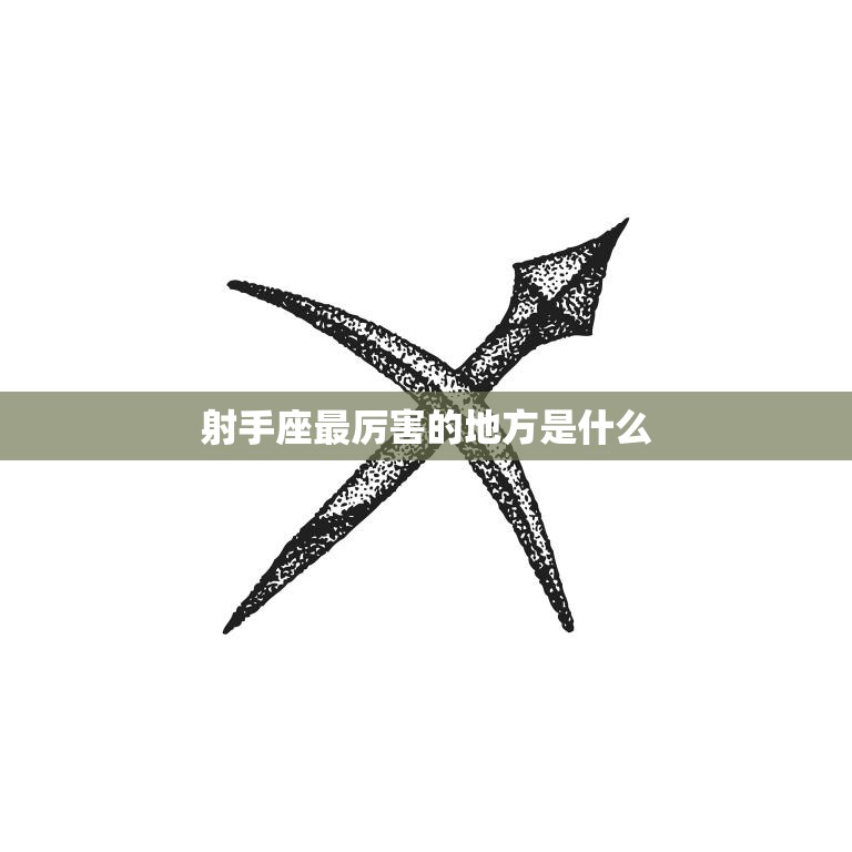 射手座最厉害的地方是什么(探秘射手座的独特魅力)  第3张