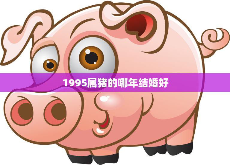 1995属猪的哪年结婚好(最佳结婚年份解析)