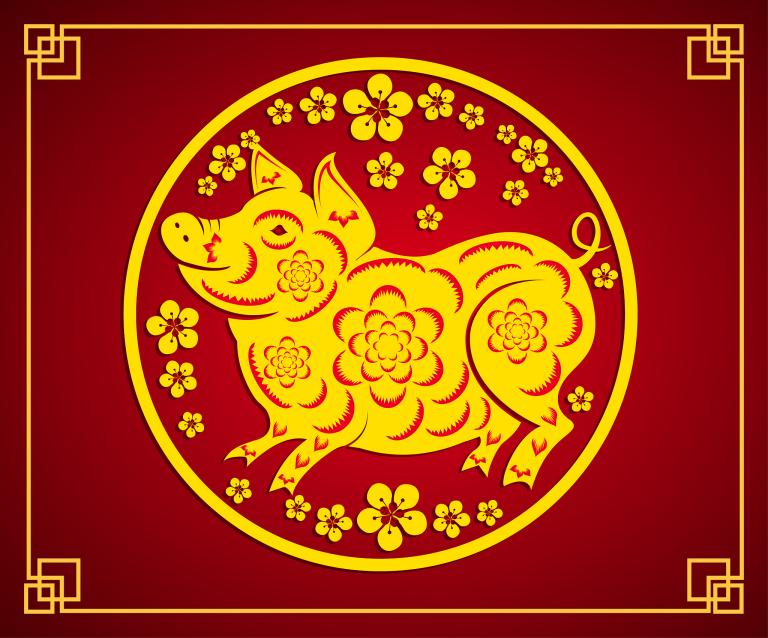 属猪的2023年多大年龄(猪年到猪宝宝几岁了)  第1张