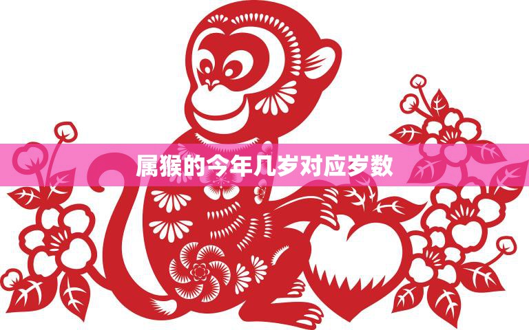 属猴的今年几岁对应岁数(猴年生肖年龄计算方法解析)