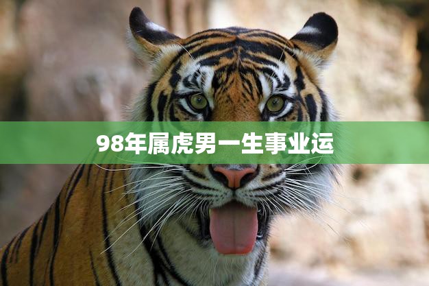 98年属虎男一生事业运(如何开创自己的职业生涯)  第3张