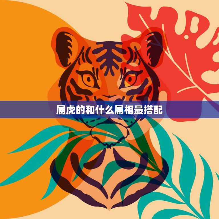 属虎的和什么属相最搭配(如何选择最佳的属相搭配)  第3张