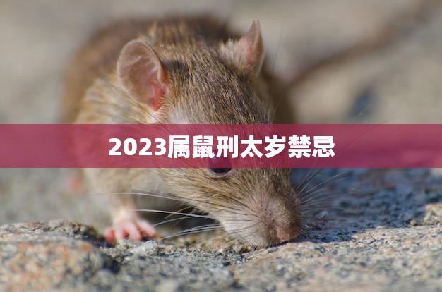 2023属鼠刑太岁禁忌(如何化解)