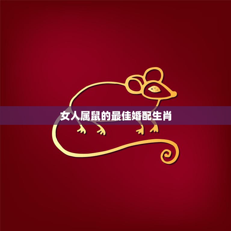 女人属鼠的最佳婚配生肖(揭秘哪些生肖最适合与鼠女缘定一生)  第3张