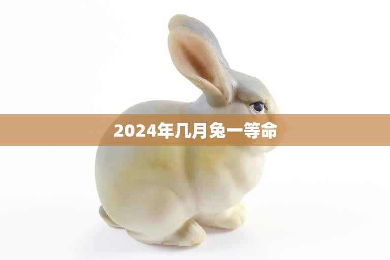 2024年几月兔一等命(兔年大吉好运连连)  第3张