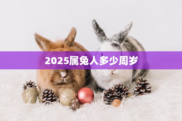 2025属兔人多少周岁(探究属兔人的年龄计算方法)  第3张