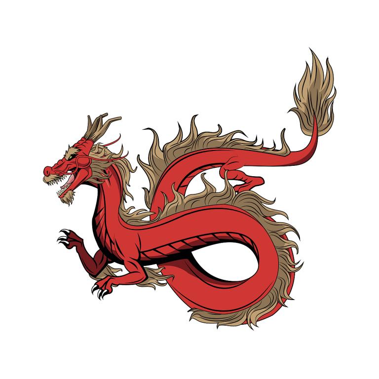 2000属龙是什么命运怎么样（ 2000年属龙人命运全解）  第2张