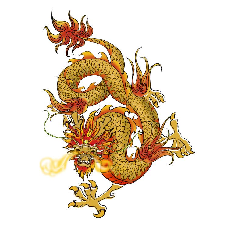 龙年属狗的幸运色是什么颜色（龙年狗属相幸运色彩分析）  第1张