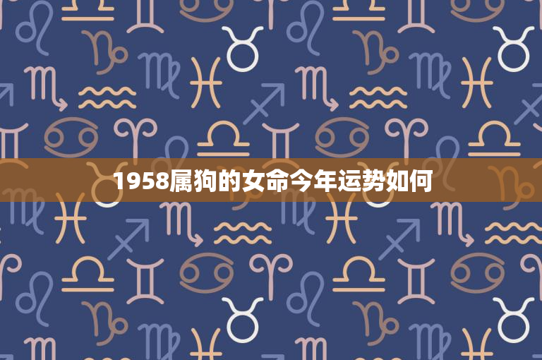 1958属狗的女命今年运势如何：事业升职财运稳，爱情甜蜜幸福