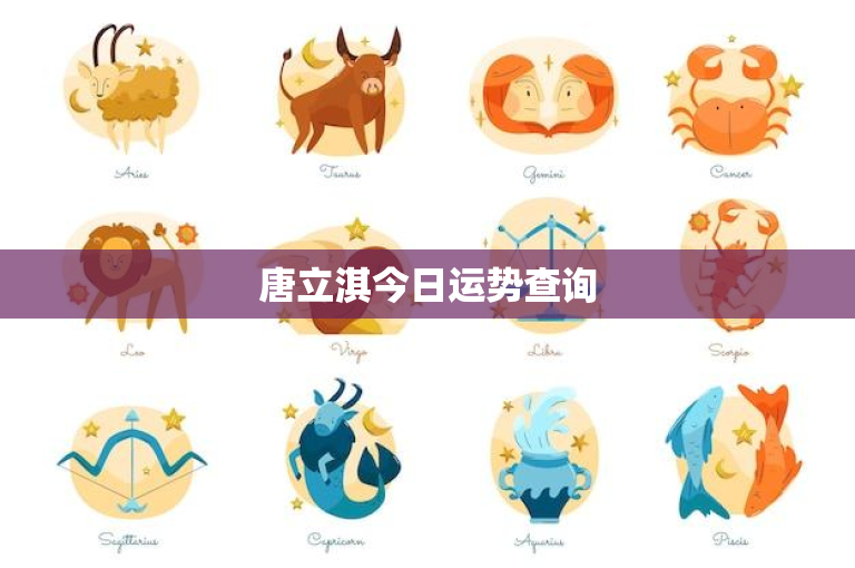 唐立淇今日运势查询：财富风水大揭秘  第1张