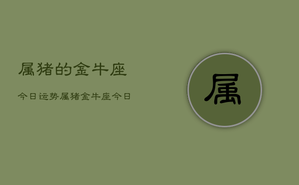 属猪的金牛座今日运势，属猪金牛座今日运程如何  第1张