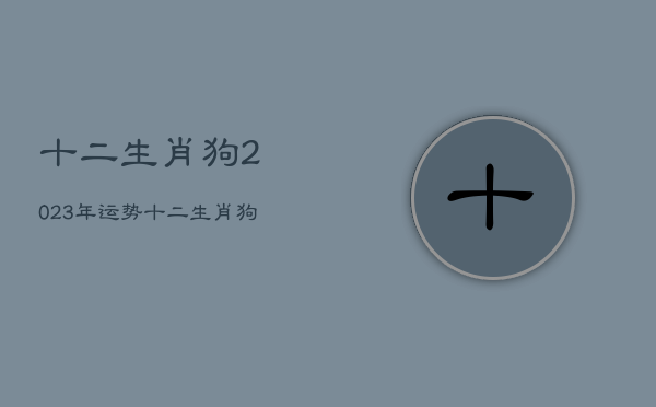 十二生肖狗2023年运势，十二生肖狗2023年运势详解  第1张