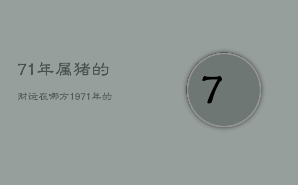 71年属猪的财运在哪方，1971年的猪财运的最佳方位