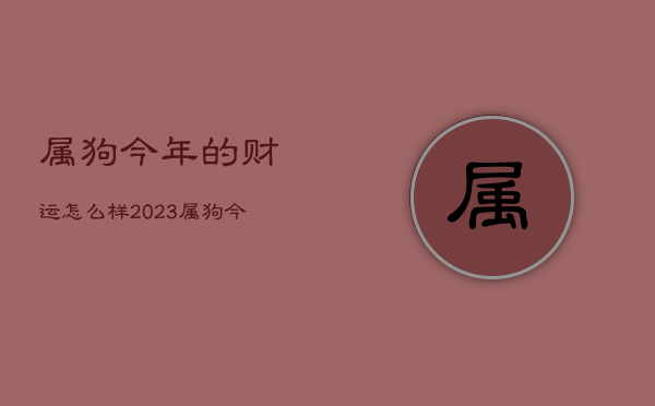 属狗今年的财运怎么样2023，属狗今年的财运怎么样2023年  第1张