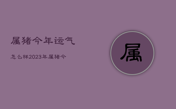 属猪今年运气怎么样2023年，属猪今年的运势2022