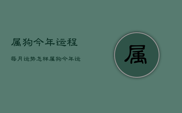 属狗今年运程每月运势怎样，属狗今年运势2021年每月运势