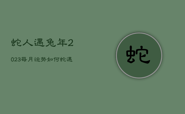 蛇人遇兔年2023每月运势如何，蛇遇兔年2023年怎么样