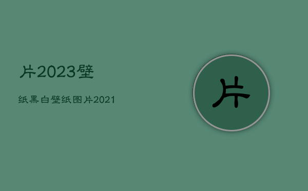 片2023壁纸黑白，壁纸图片2021最火爆黑白  第1张