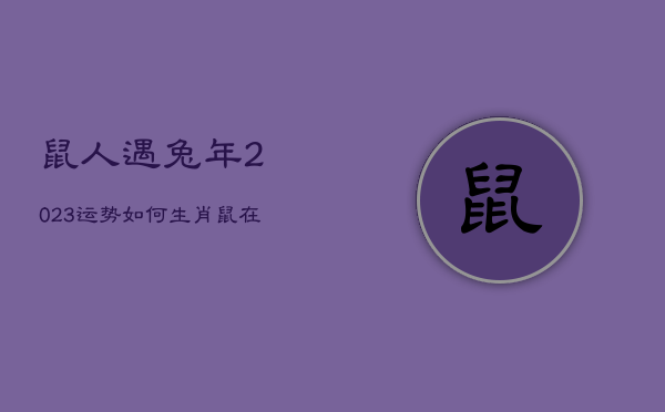 鼠人遇兔年2023运势如何，生肖鼠在2023兔年好吗?