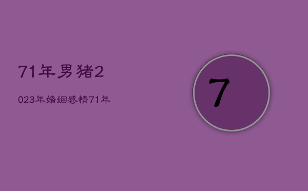 71年男猪2023年婚姻感情，71年属猪男2020年婚姻